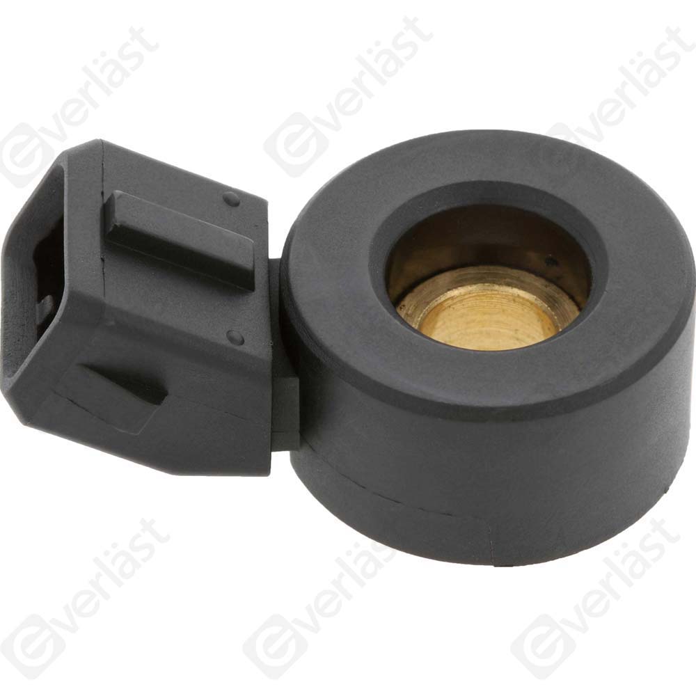 DETECTEUR CLIQUETIS EVERLAST - 2