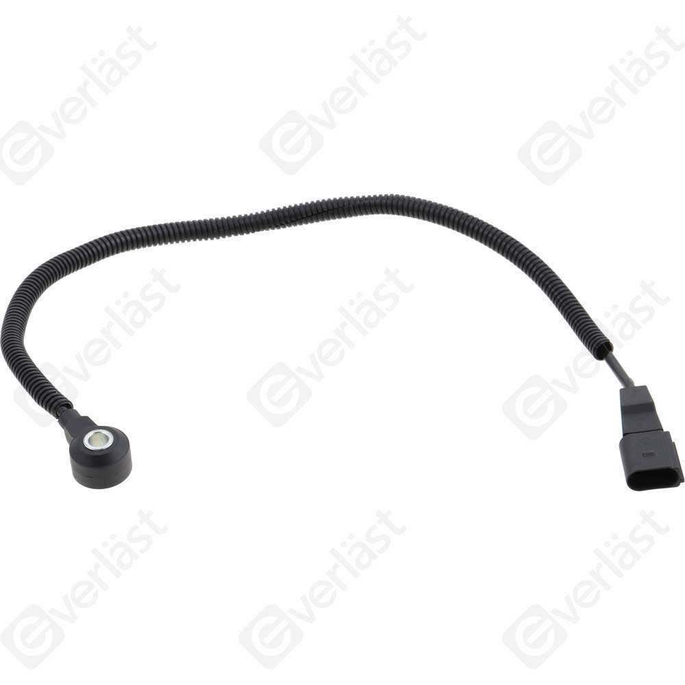 DETECTEUR CLIQUETIS EVERLAST - 2