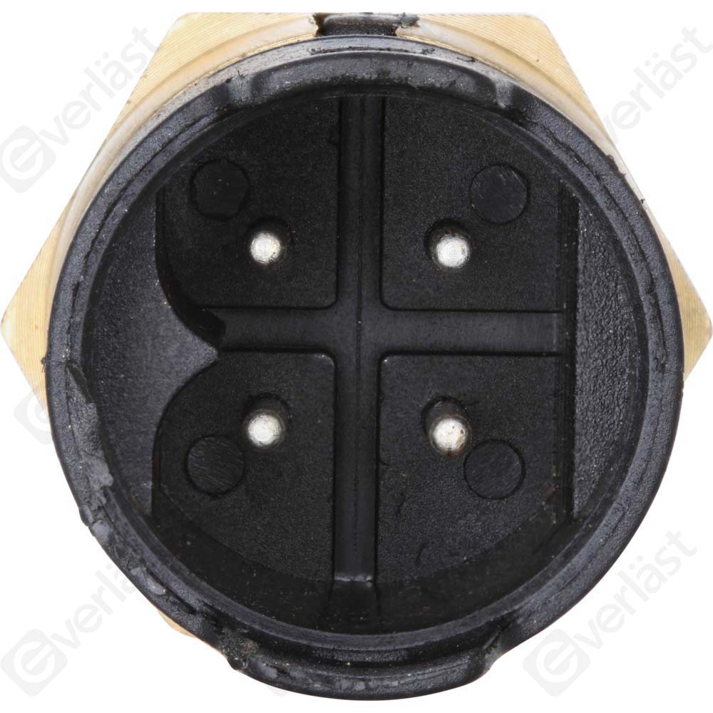 CAPTEURDE TEMPERATURE EVERLAST