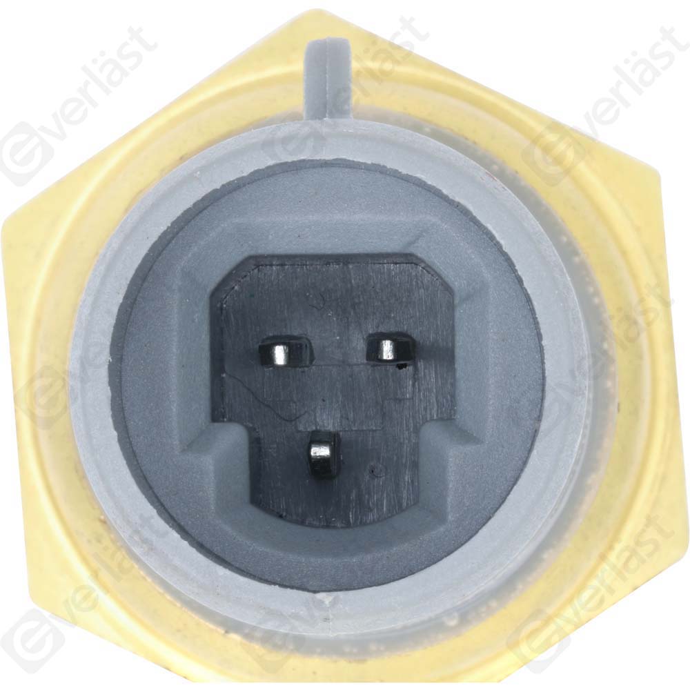 EVERLAST MANIFOLD SENSOR - 2