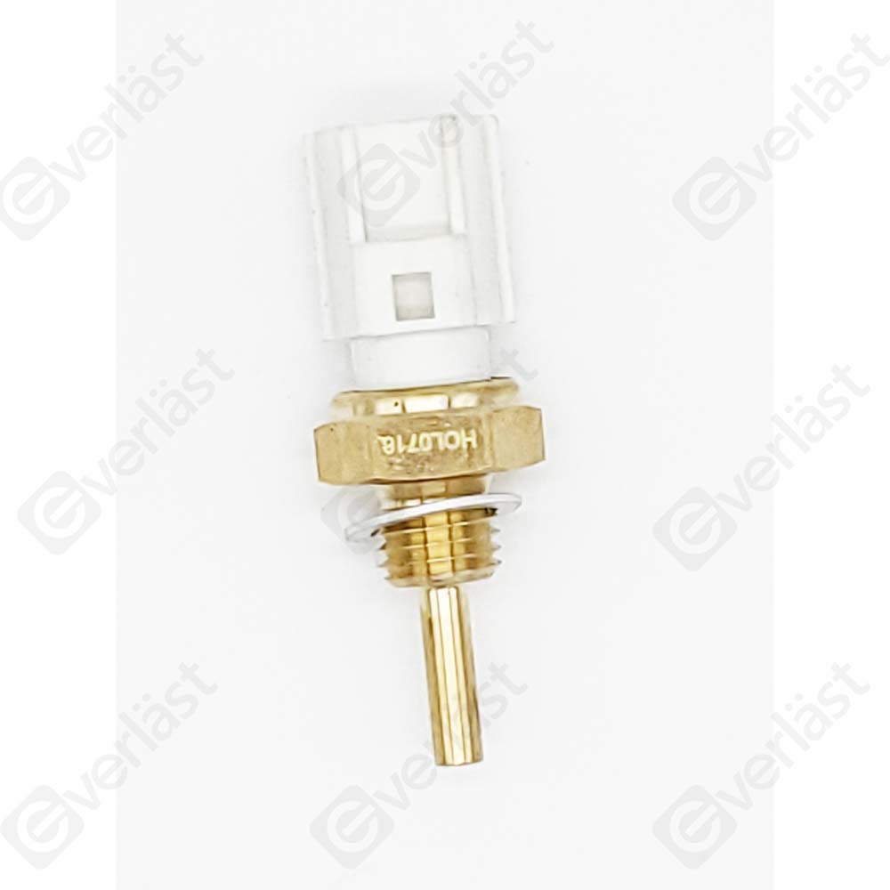 CAPTEURDE TEMPERATURE EVERLAST - 2