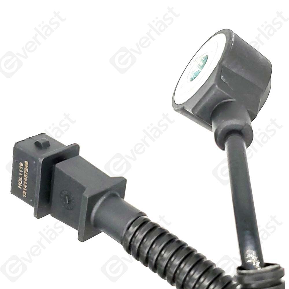 DETECTEUR CLIQUETIS EVERLAST