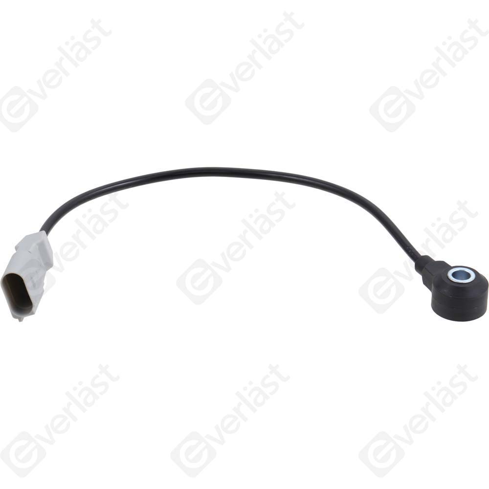 DETECTEUR CLIQUETIS EVERLAST