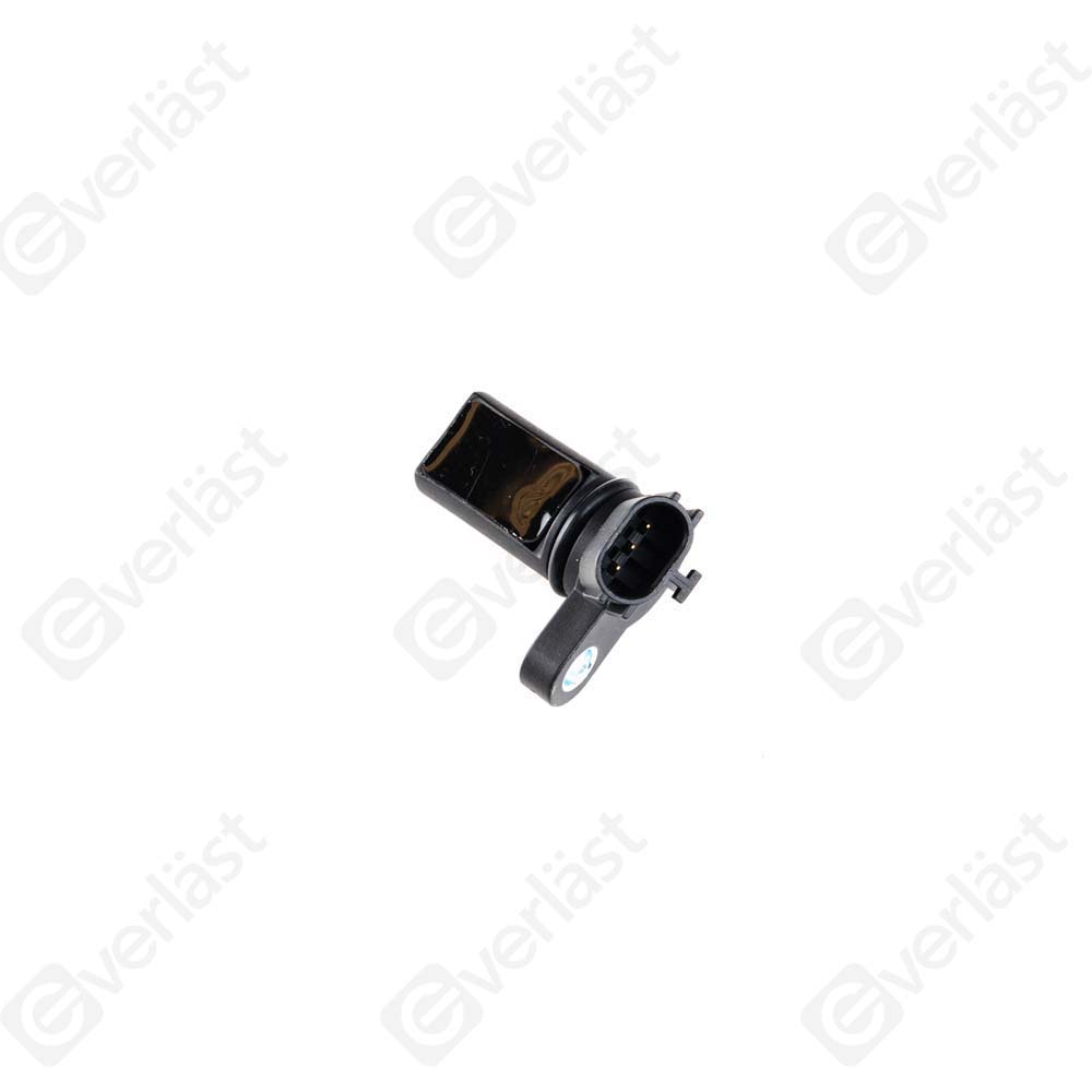 EVERLAST CRANK/CAM SENSOR
