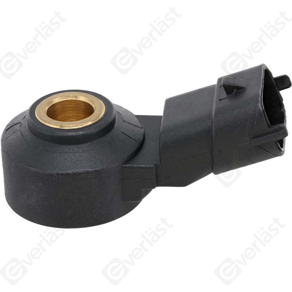 DETECTEUR CLIQUETIS EVERLAST - 3