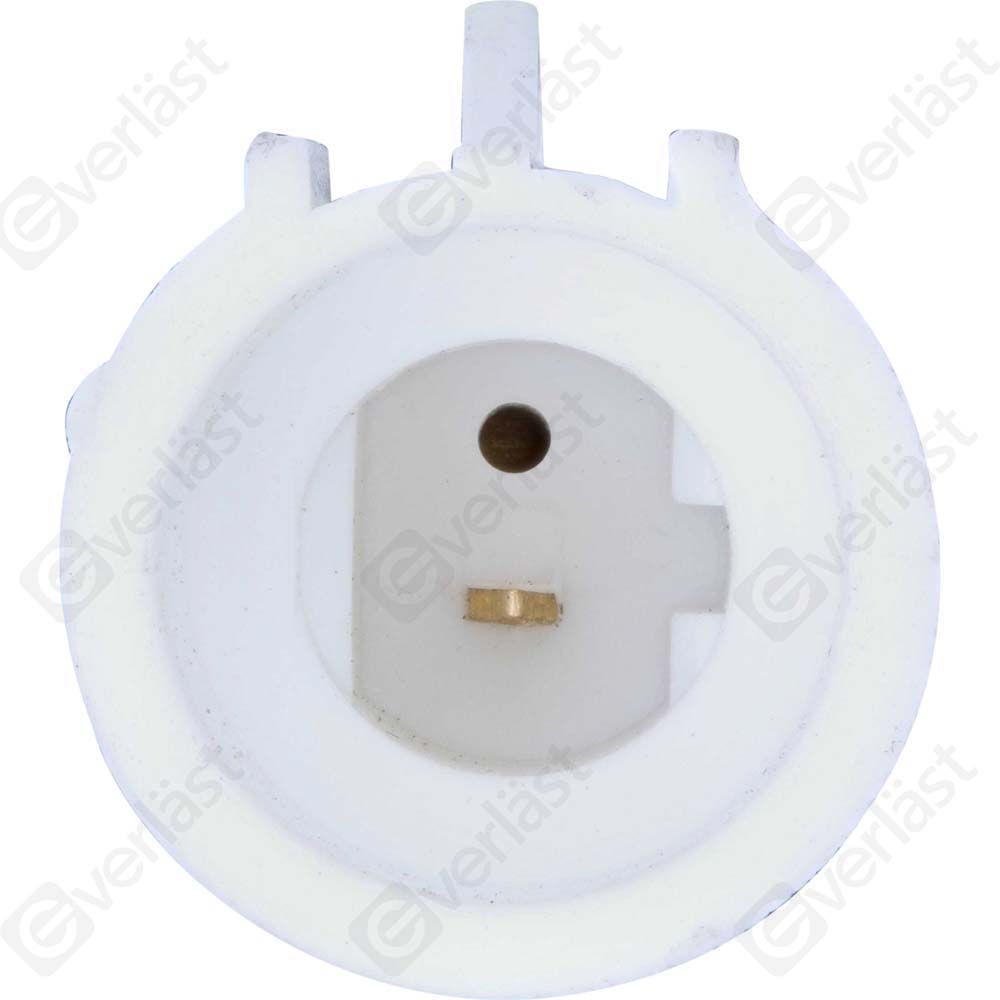 DETECTEUR CLIQUETIS EVERLAST - 2