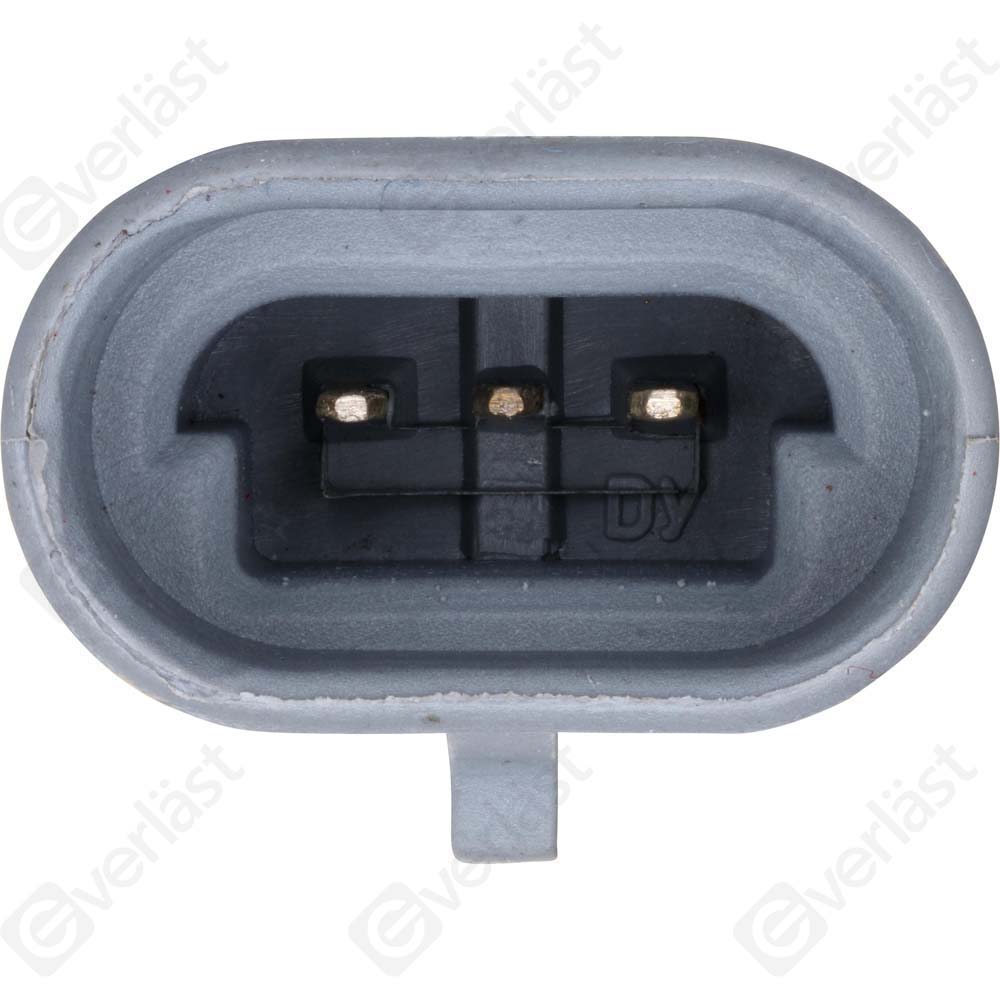 EVERLAST MANIFOLD SENSOR - 2