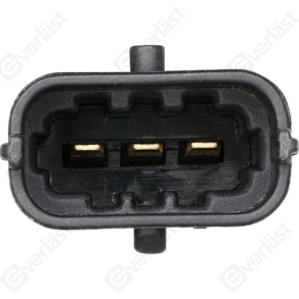 EVERLAST MANIFOLD SENSOR - 3