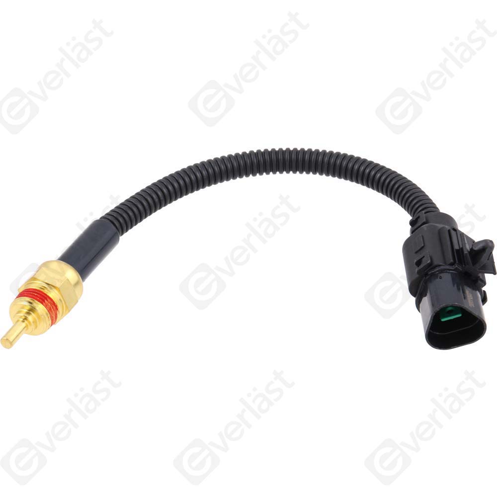 CAPTEURDE TEMPERATURE EVERLAST - 2