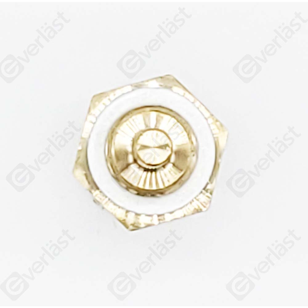 EVERLAST COOLANT SENSOR - 2