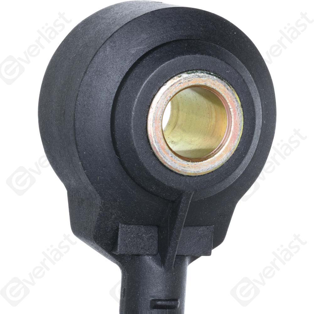 DETECTEUR CLIQUETIS EVERLAST - 2