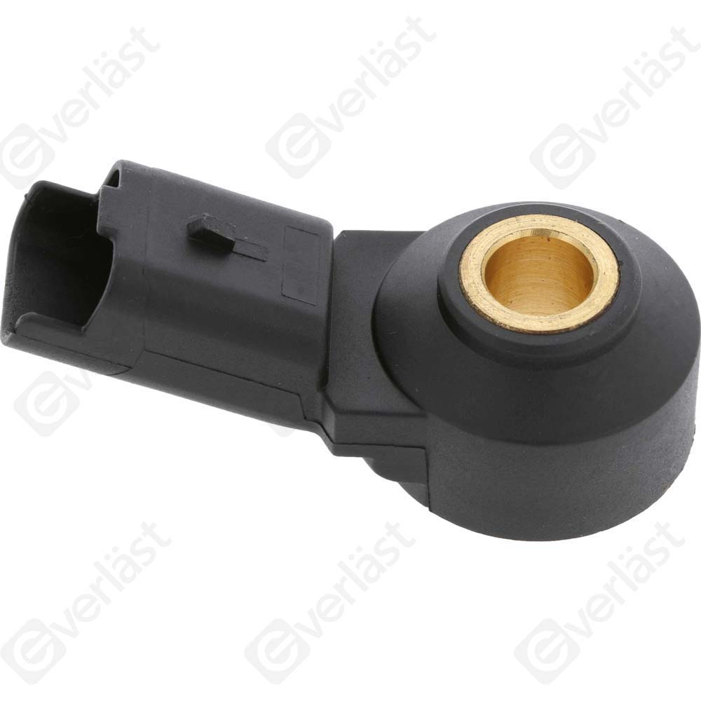 DETECTEUR CLIQUETIS EVERLAST - 2
