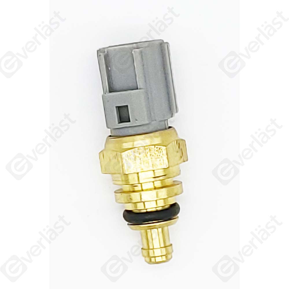 CAPTEURDE TEMPERATURE EVERLAST - 2