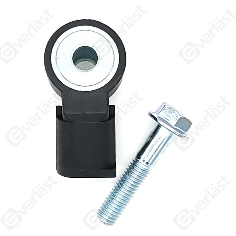 DETECTEUR CLIQUETIS EVERLAST
