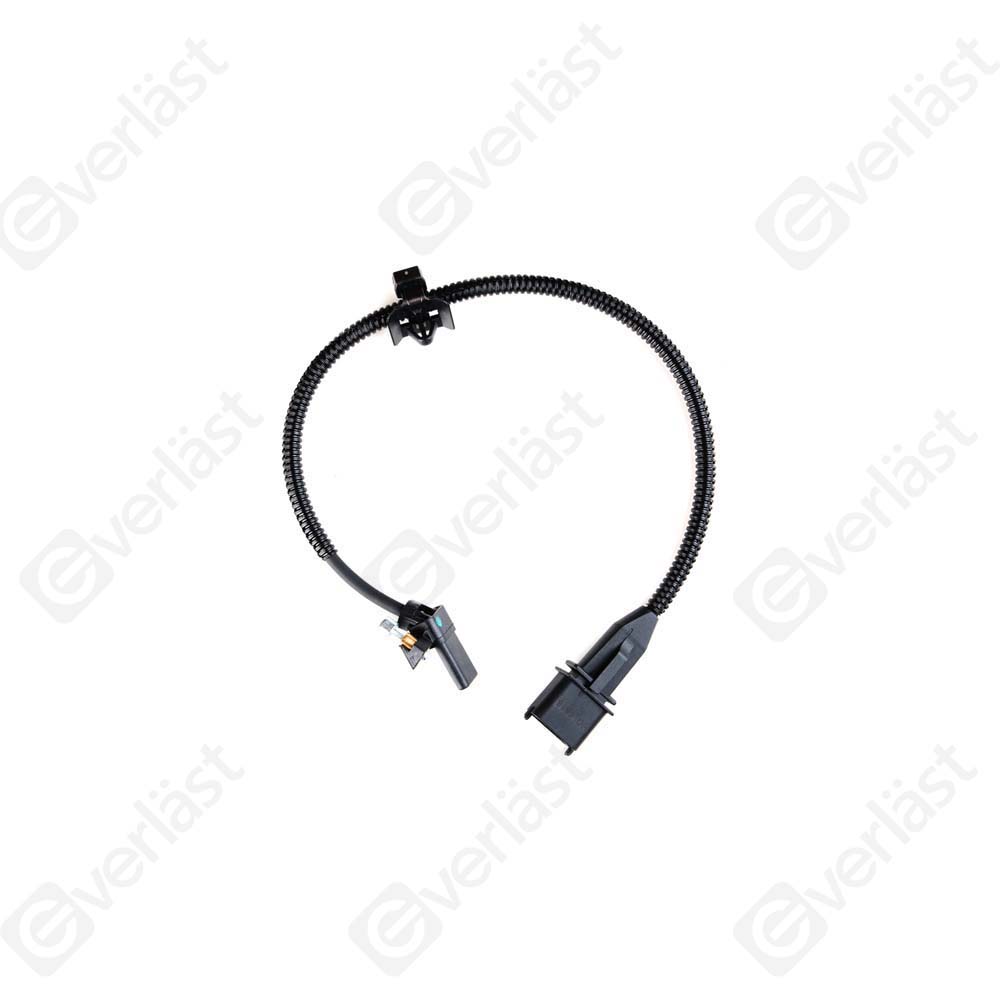 EVERLAST CRANK/CAM SENSOR - 2