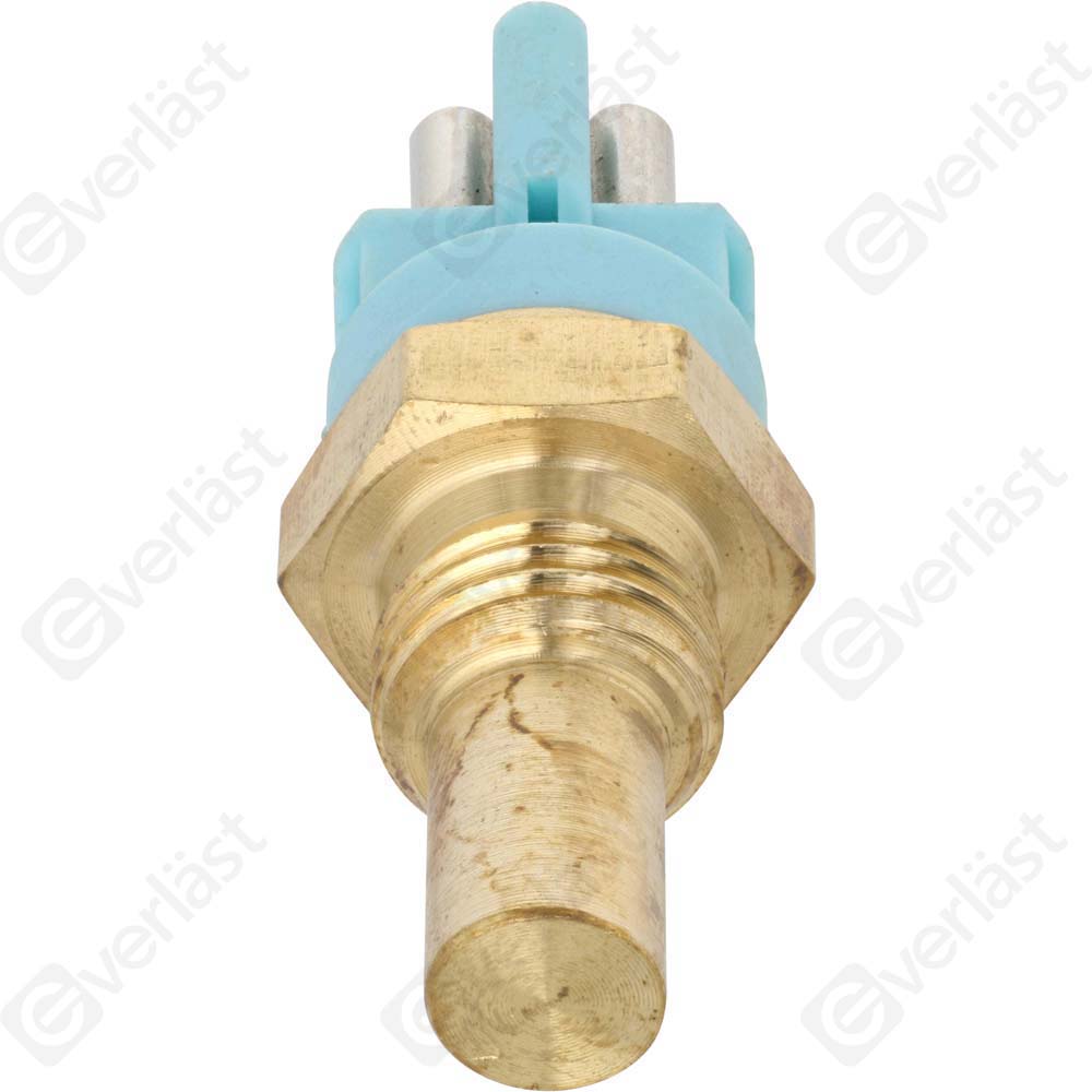 CAPTEURDE TEMPERATURE EVERLAST - 2