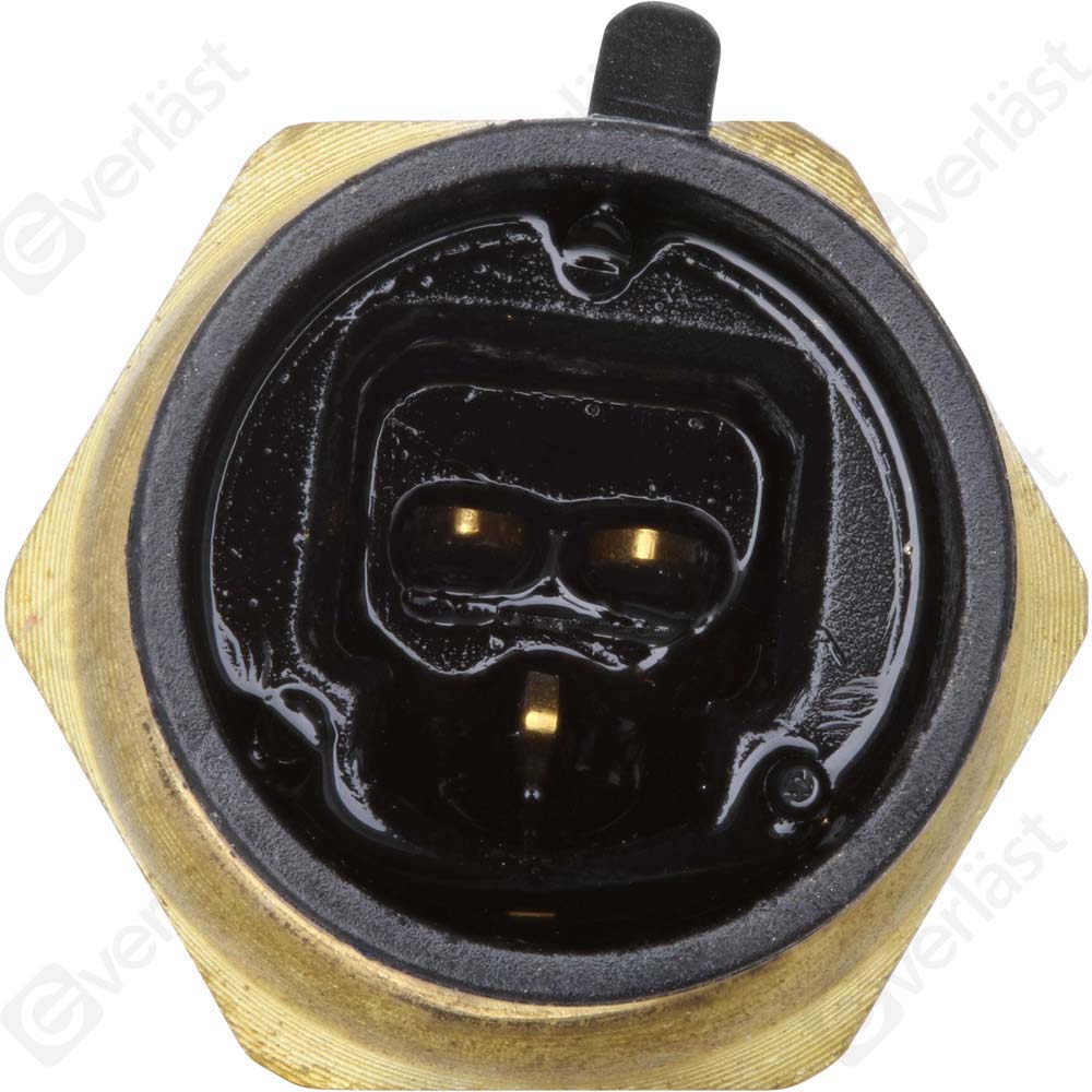 CAPTEURDE TEMPERATURE EVERLAST - 4