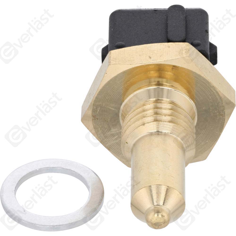 CAPTEURDE TEMPERATURE EVERLAST - 2
