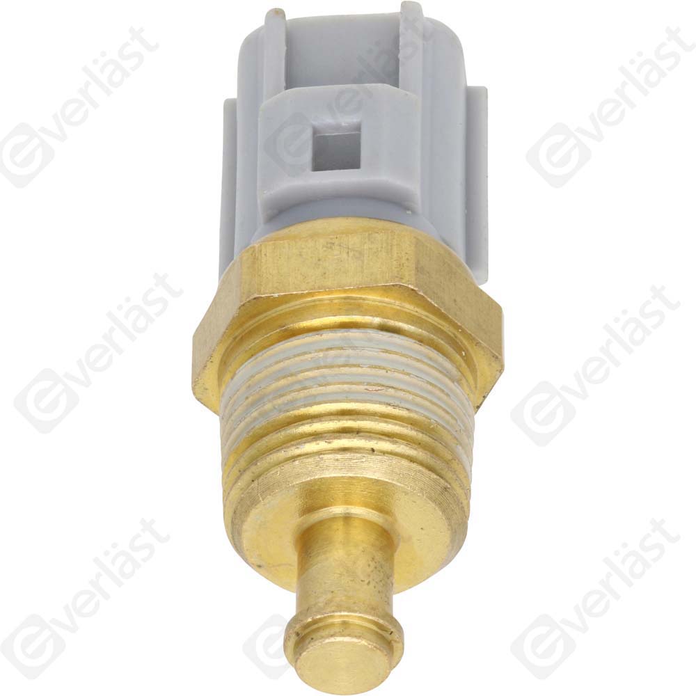 CAPTEURDE TEMPERATURE EVERLAST - 2