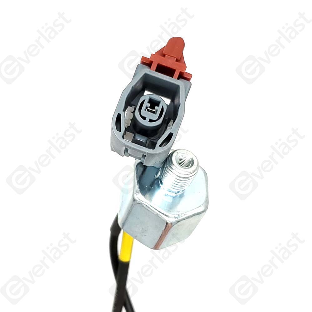 DETECTEUR CLIQUETIS EVERLAST - 2