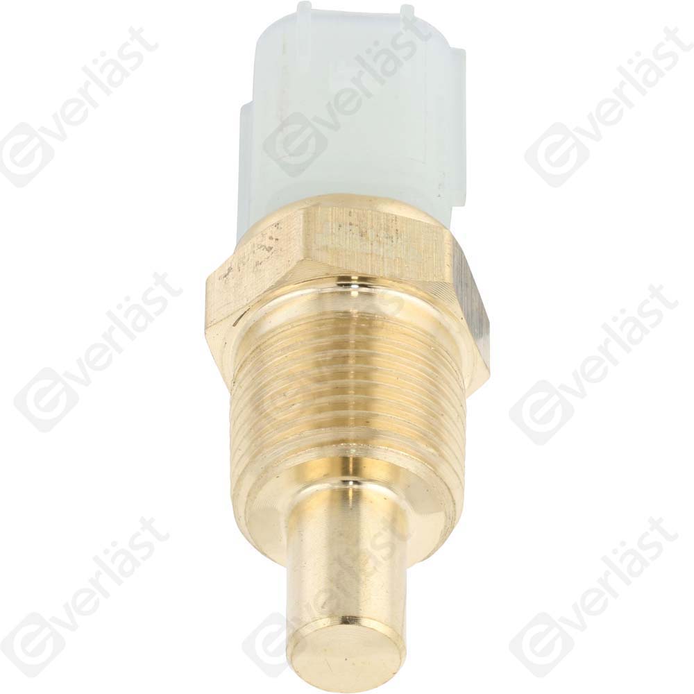 CAPTEURDE TEMPERATURE EVERLAST - 2