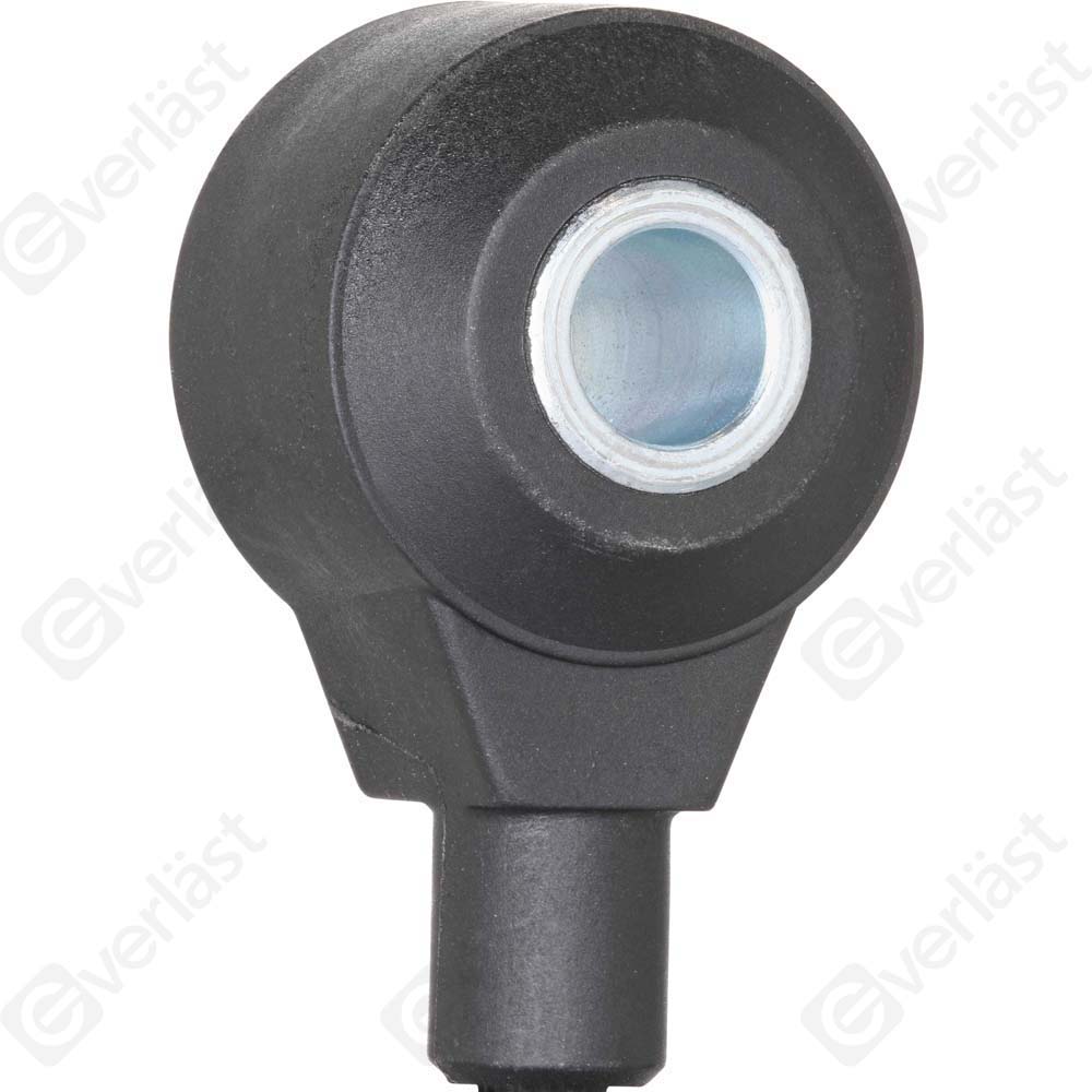 DETECTEUR CLIQUETIS EVERLAST - 3