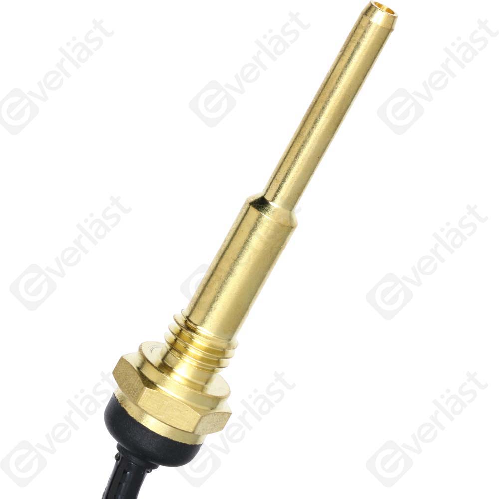 CAPTEURDE TEMPERATURE EVERLAST - 2