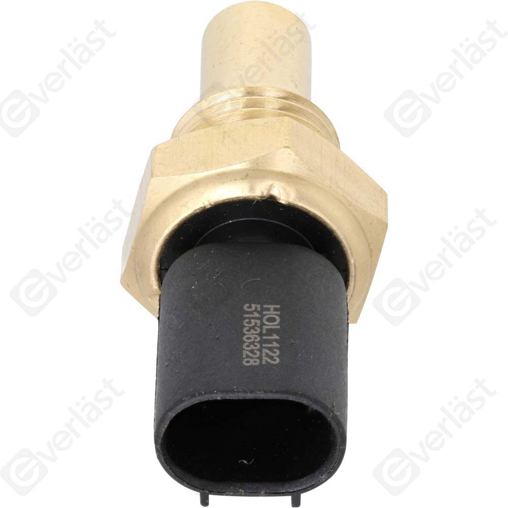 CAPTEURDE TEMPERATURE EVERLAST - 2