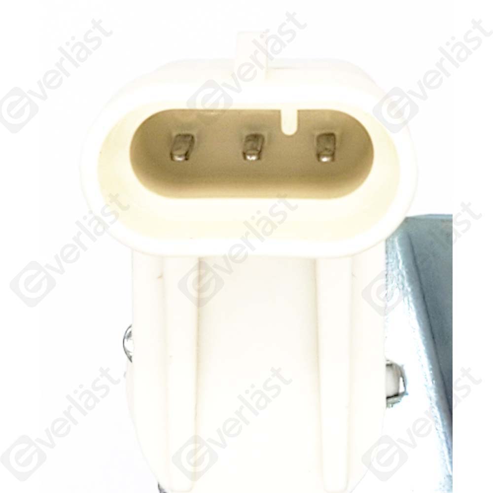 EVERLAST CRANK/CAM SENSOR - 2