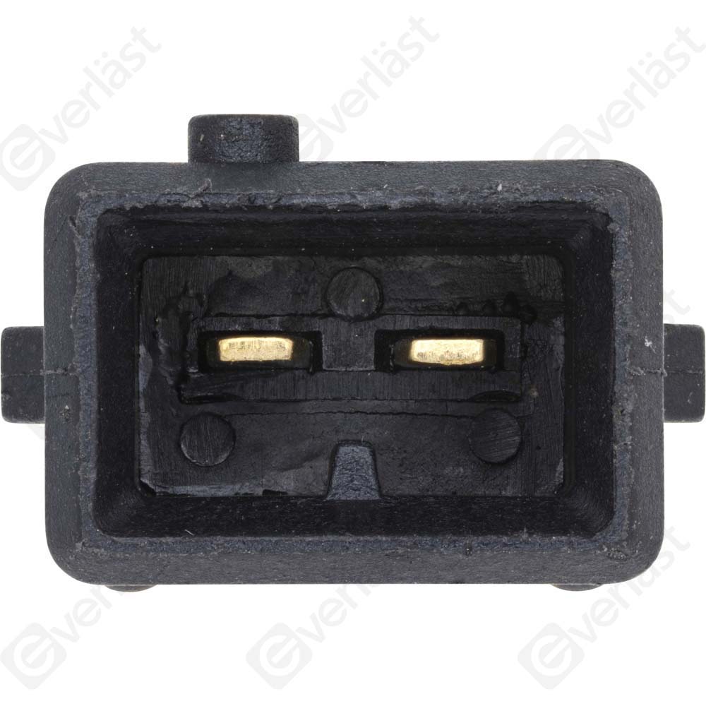 CAPTEURDE TEMPERATURE EVERLAST - 3