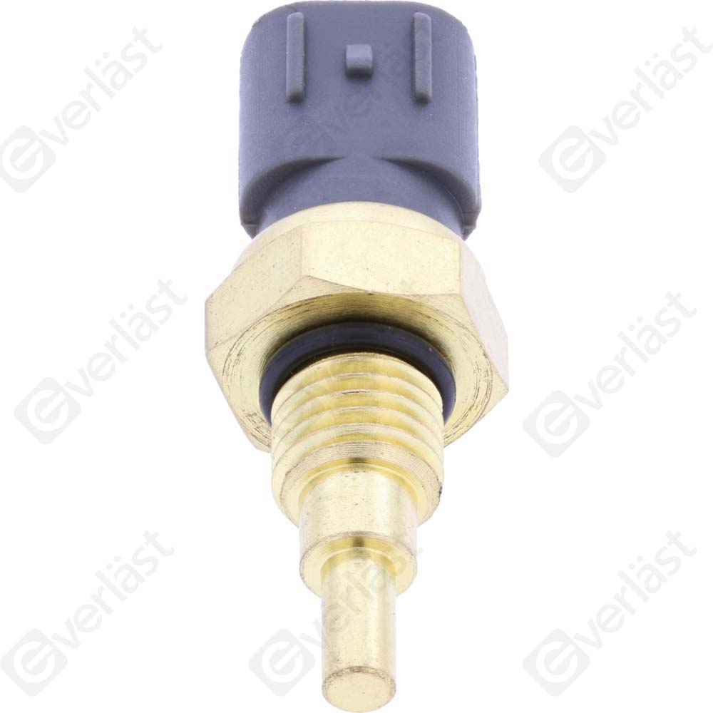 CAPTEURDE TEMPERATURE EVERLAST - 2