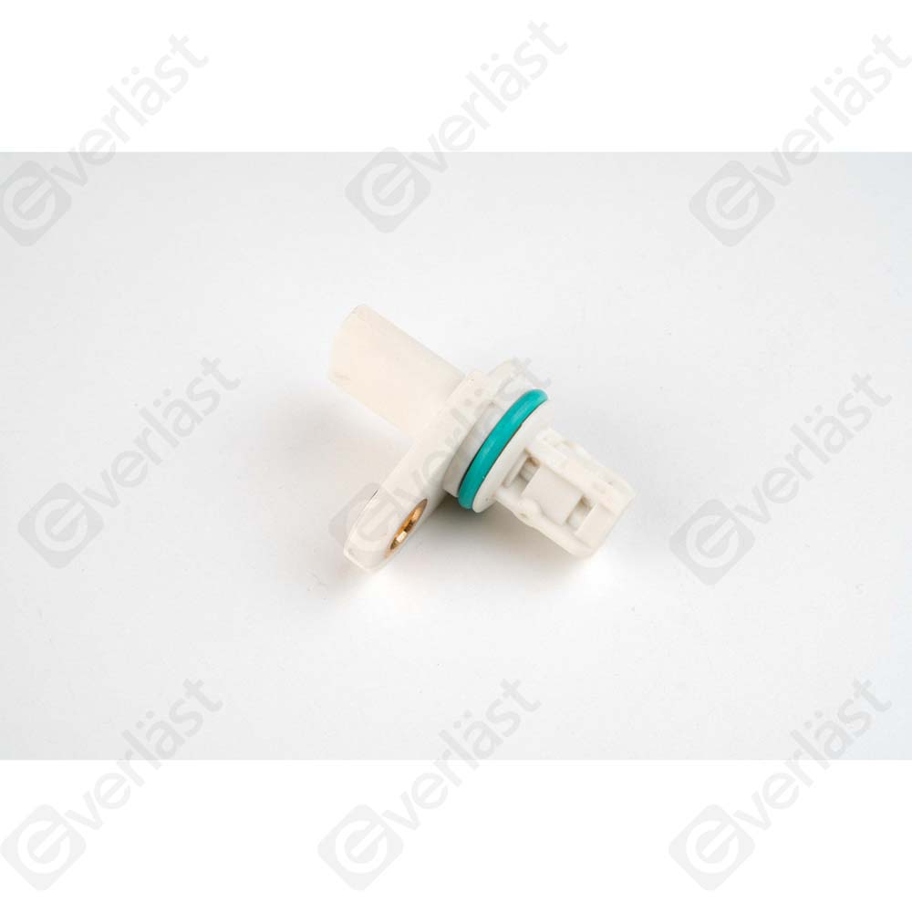 EVERLAST CRANK/CAM SENSOR - 2