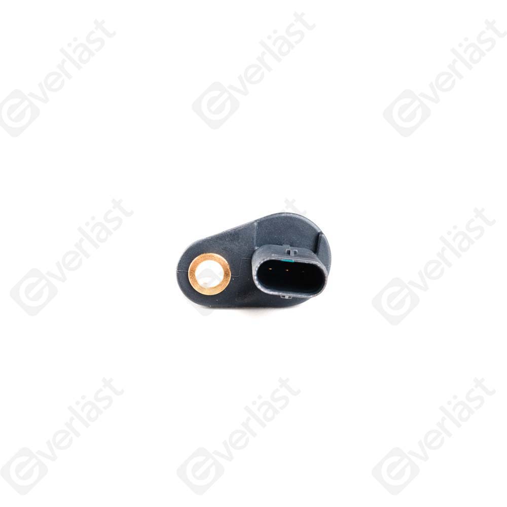 EVERLAST CRANK/CAM SENSOR - 4