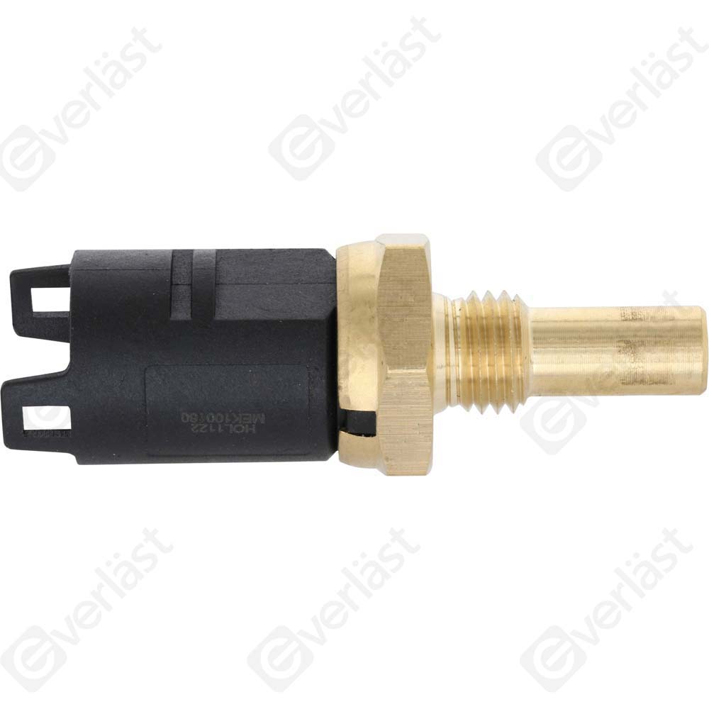 CAPTEURDE TEMPERATURE EVERLAST - 2