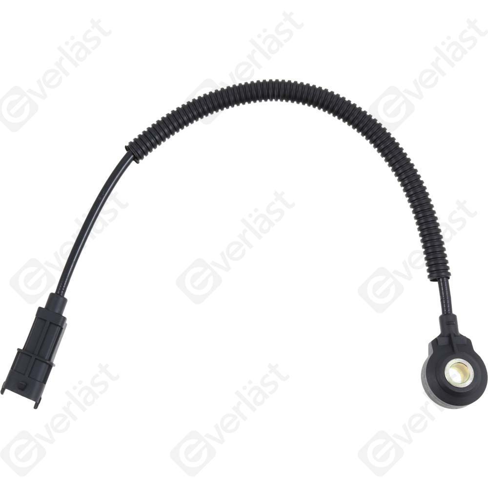 DETECTEUR CLIQUETIS EVERLAST - 2