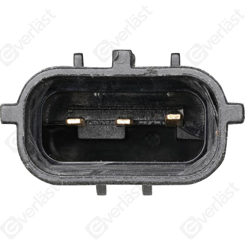 EVERLAST MANIFOLD SENSOR