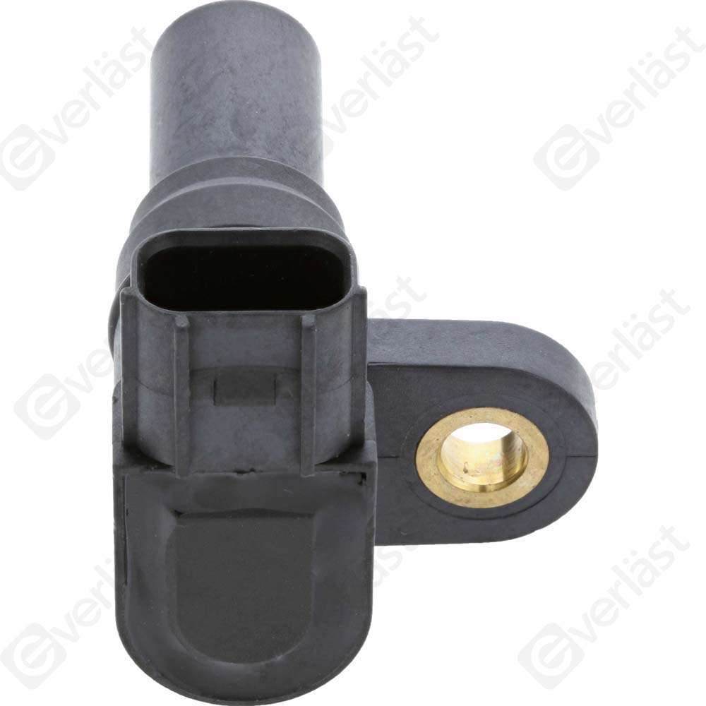 CAPTEUR DE VITESSE EVERLAST - 3