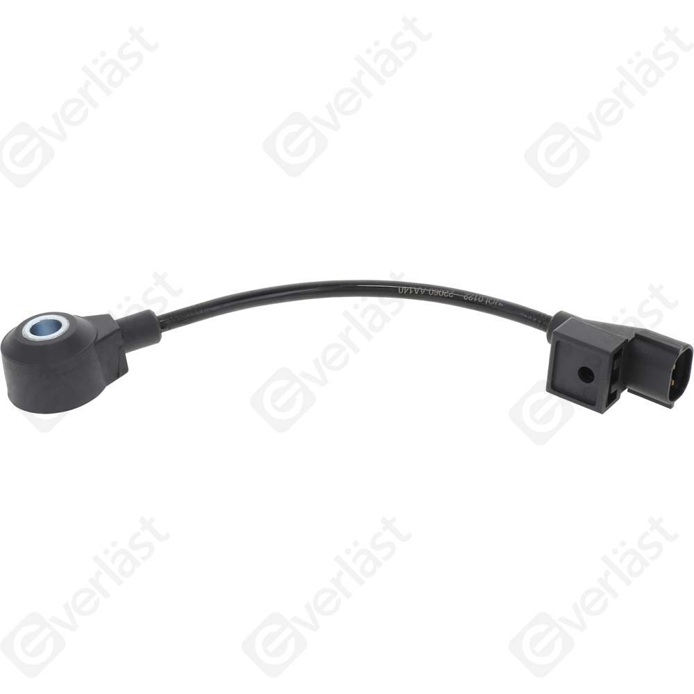 DETECTEUR CLIQUETIS EVERLAST - 2