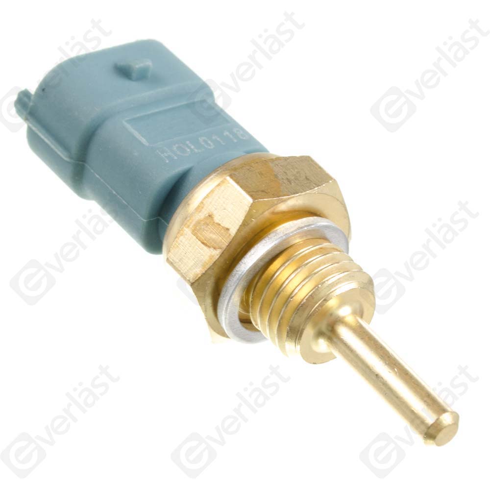 CAPTEURDE TEMPERATURE EVERLAST - 2
