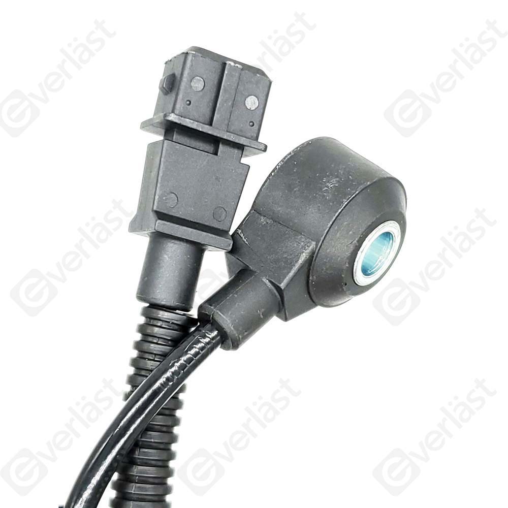 DETECTEUR CLIQUETIS EVERLAST - 3