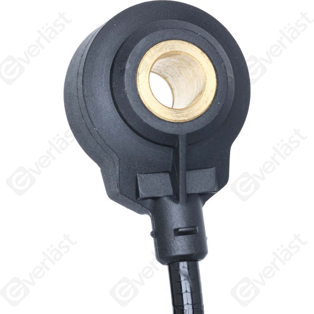 DETECTEUR CLIQUETIS EVERLAST