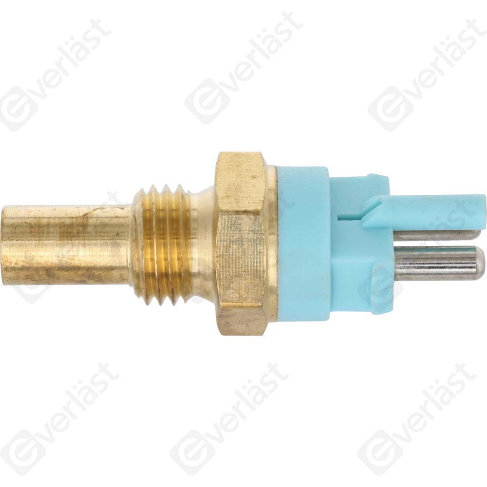 CAPTEURDE TEMPERATURE EVERLAST - 3