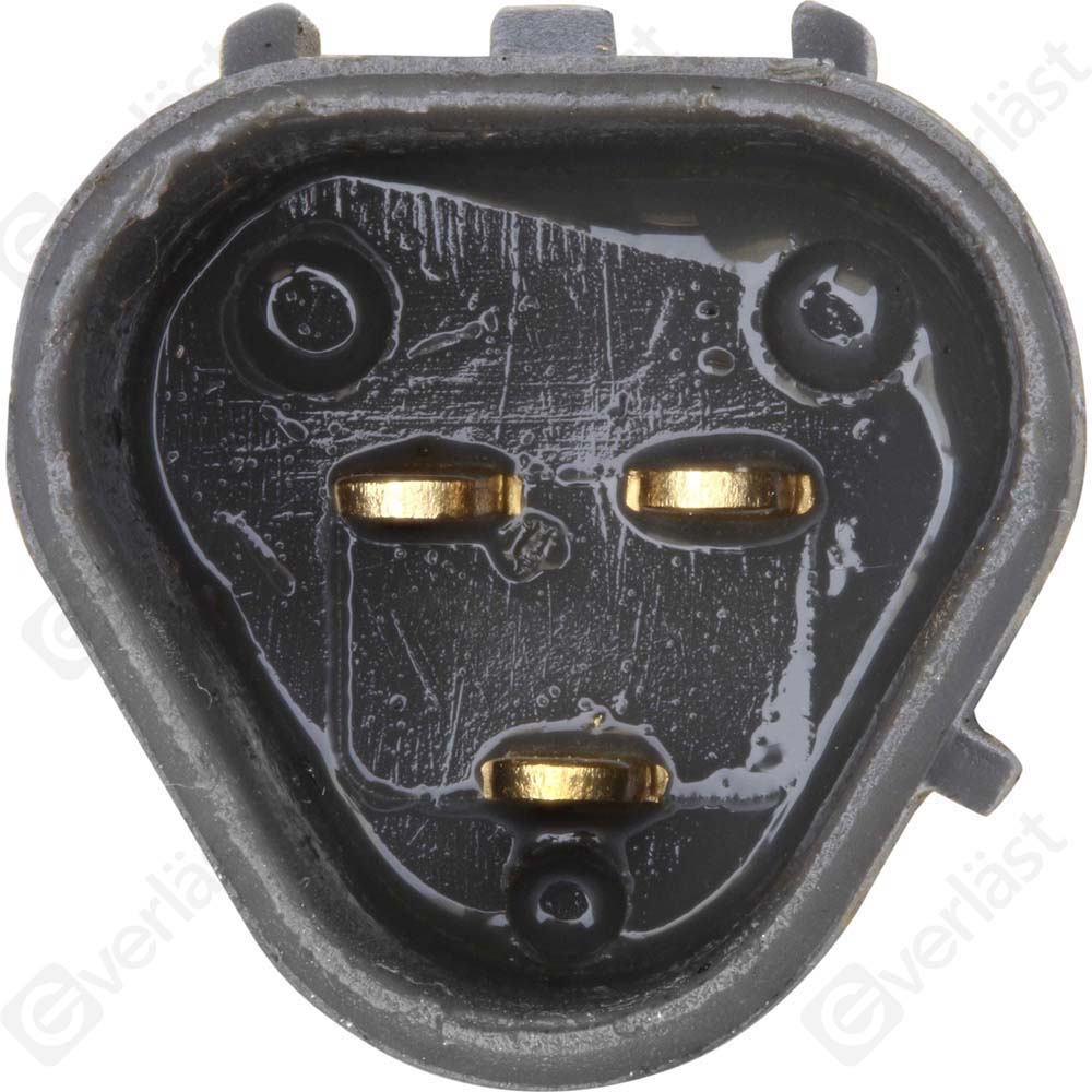 CAPTEURDE TEMPERATURE EVERLAST - 3