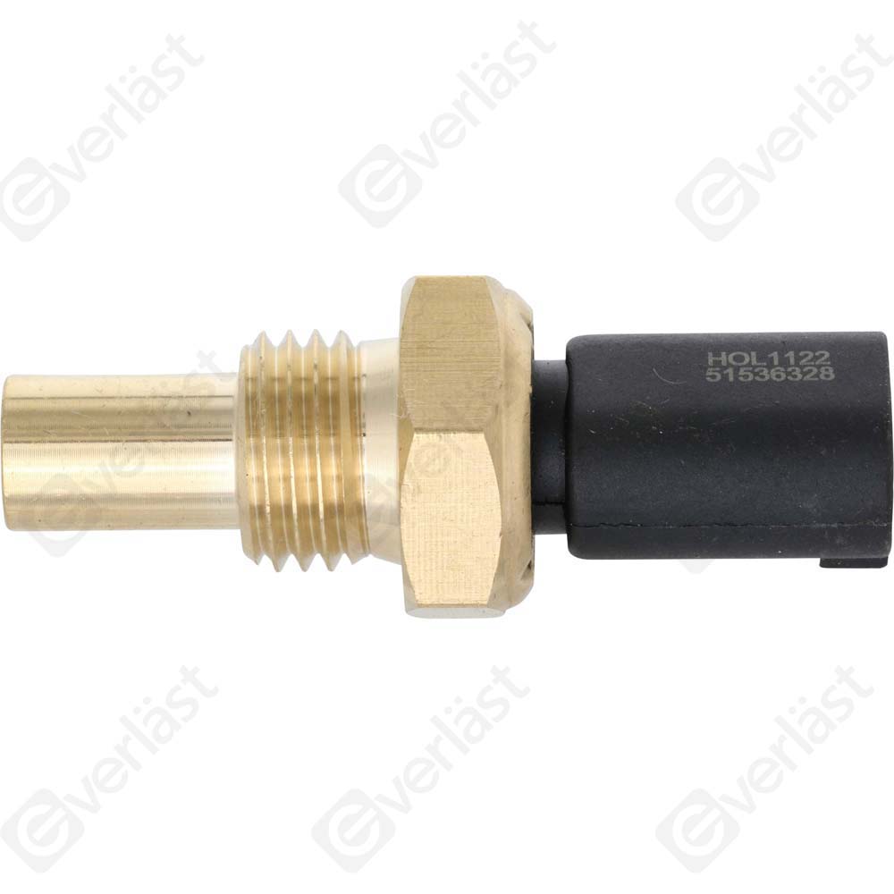 CAPTEURDE TEMPERATURE EVERLAST - 3