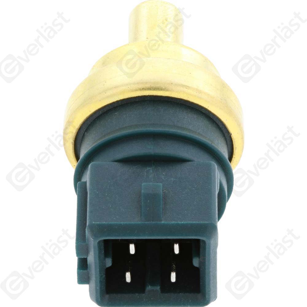 CAPTEURDE TEMPERATURE EVERLAST - 2