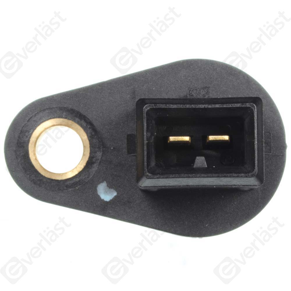 CAPTEUR DE VITESSE EVERLAST - 3