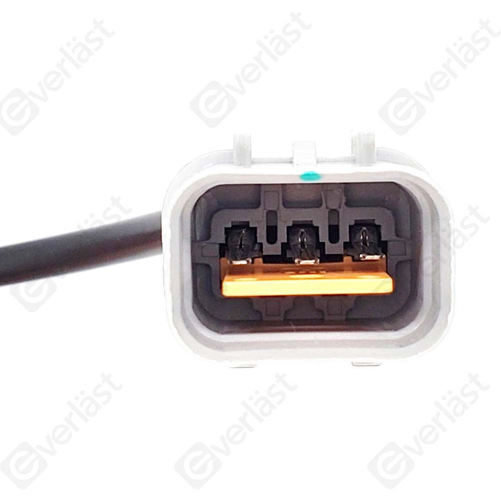 EVERLAST CRANK/CAM SENSOR - 2