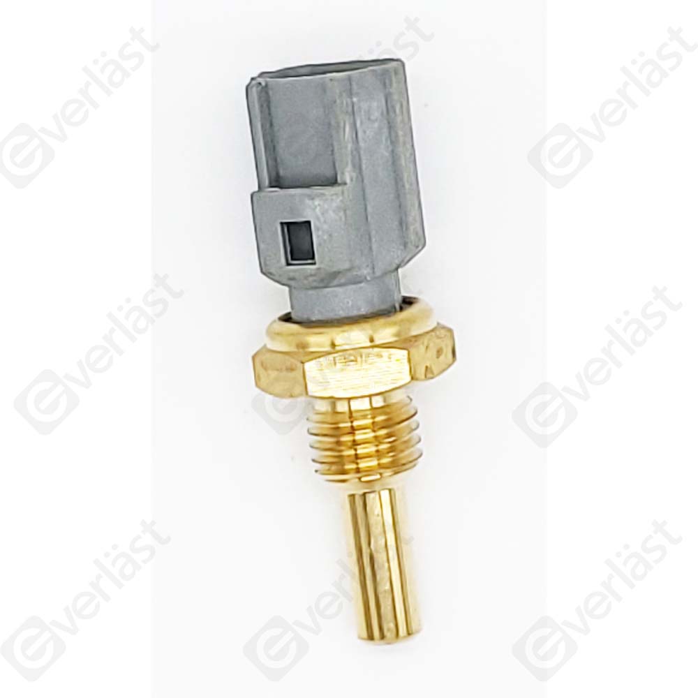 CAPTEURDE TEMPERATURE EVERLAST - 2