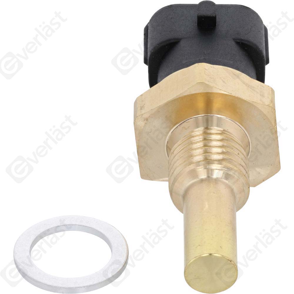 EVERLAST COOLANT SENSOR - 2