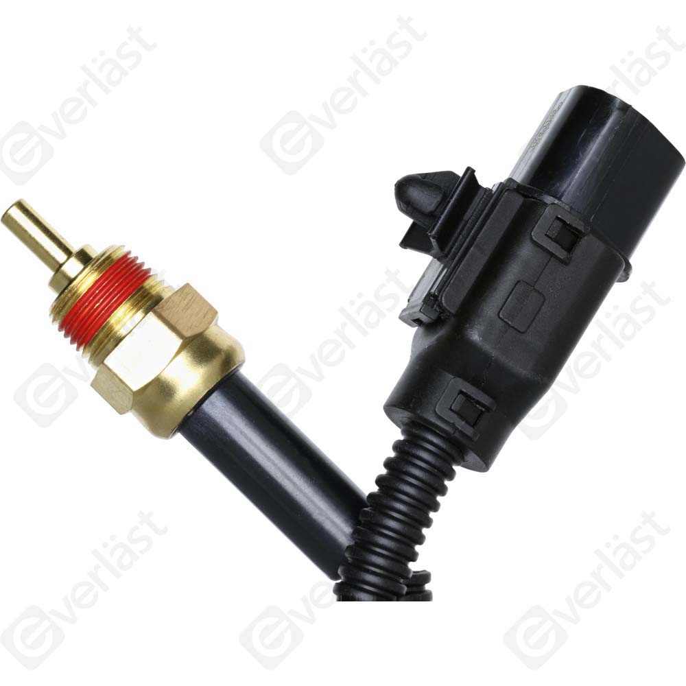 CAPTEURDE TEMPERATURE EVERLAST - 3